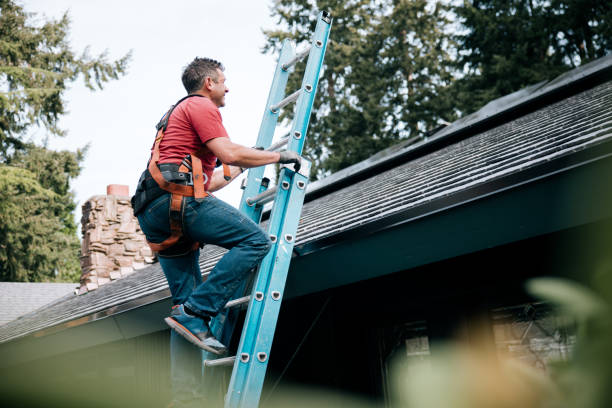 Best Roof Moss and Algae Removal  in Mcdonald, PA